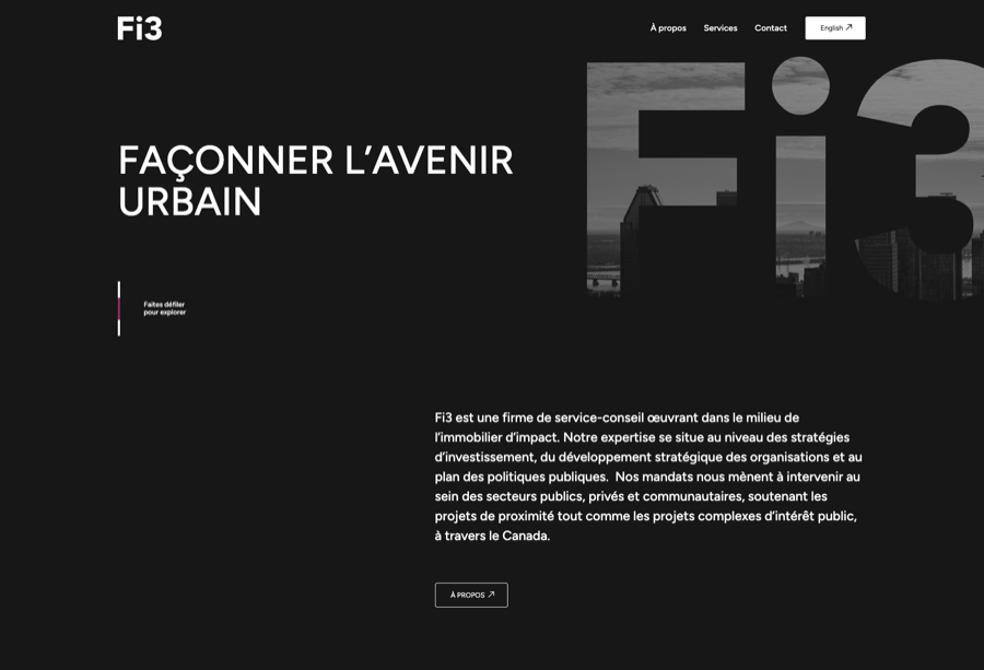 Capture du site Fi3